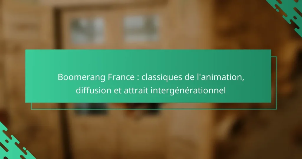 Boomerang France : classiques de l’animation, diffusion et attrait intergénérationnel