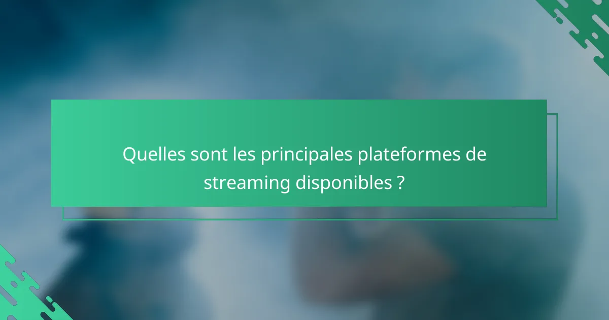 Quelles sont les principales plateformes de streaming disponibles ?