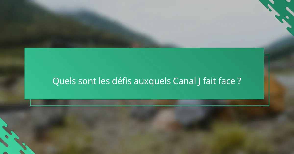 Quels sont les défis auxquels Canal J fait face ?